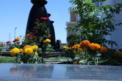 university buildings