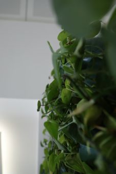 university buildings