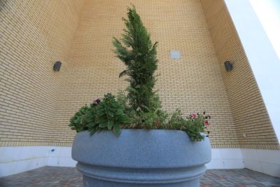 university buildings