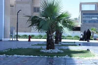 university buildings