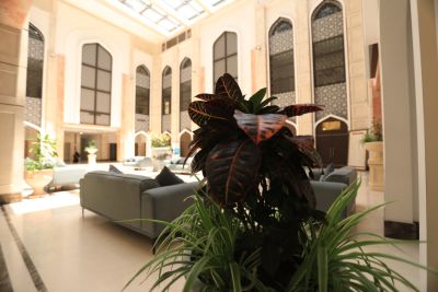 university buildings