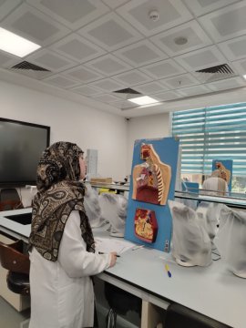 أخبار 1