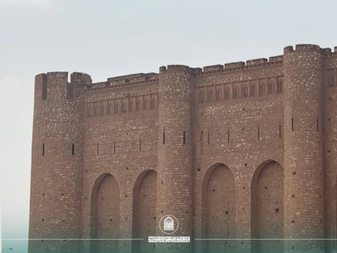 أخبار 11