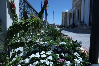 university buildings