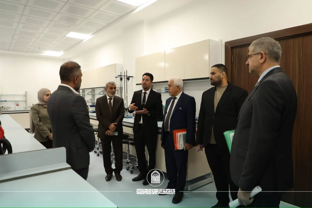 أخبار 11