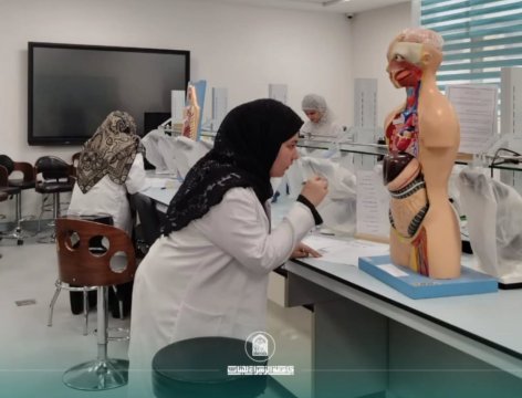 أخبار 5