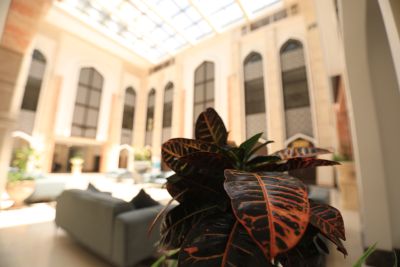 university buildings