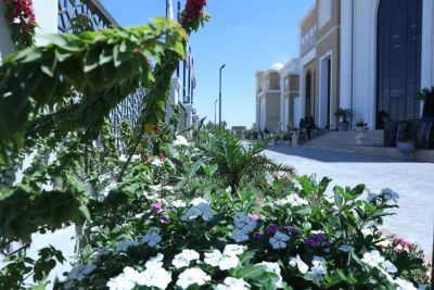 university buildings