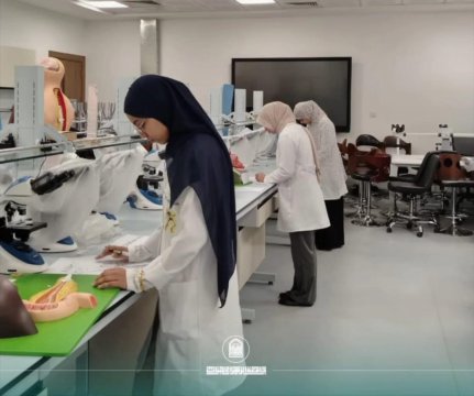 أخبار 7