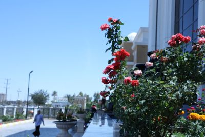 university buildings