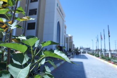 university buildings