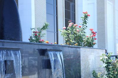 university buildings